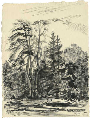 Тарханов Михаил Михайлович. Елизаветино